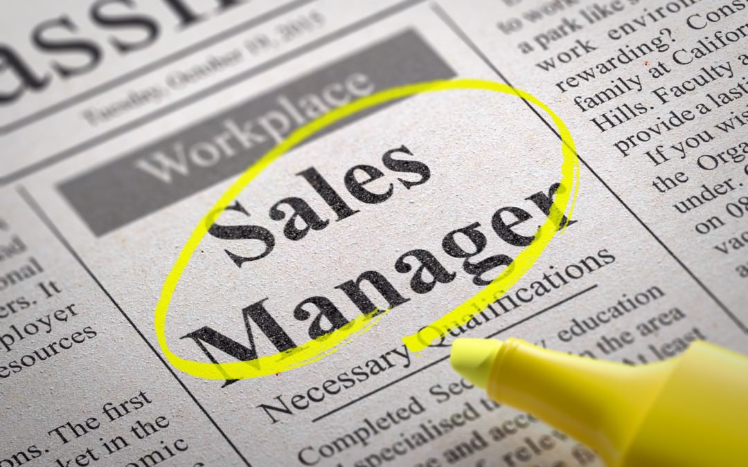 To Hire or Not hire a Sales Manager? That is the Question.